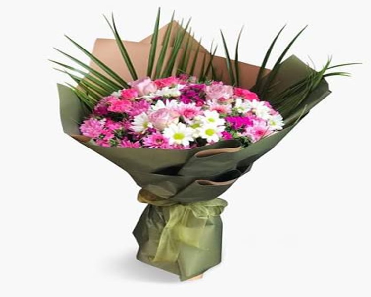 Yeşilyurt Papatya Siparişi