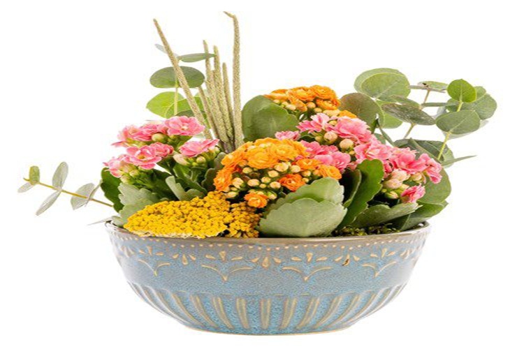 Yeşilyurt Süs Bitkileri Satışı